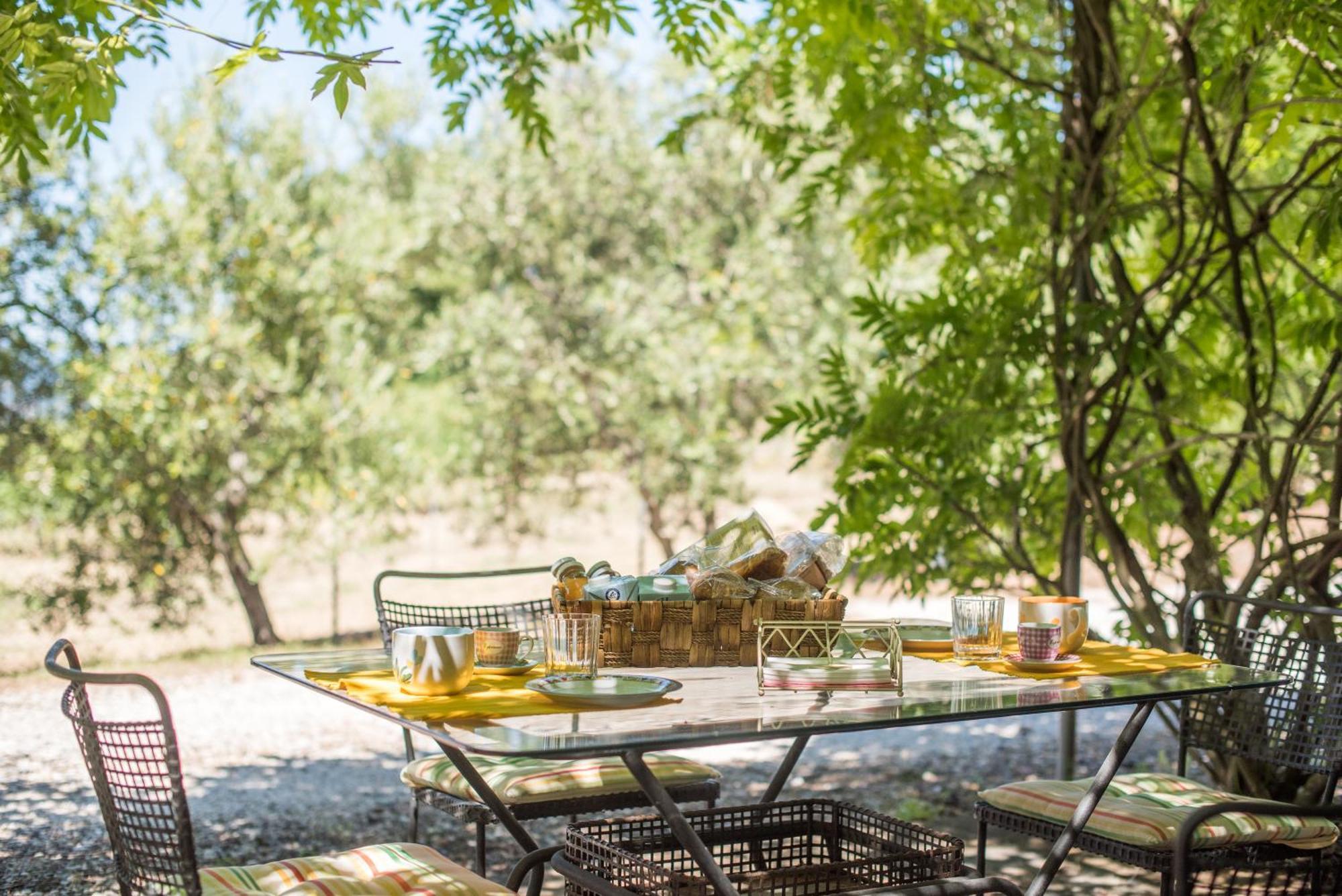 Glicine Apartment Podere Giardino Montalcino Bagian luar foto